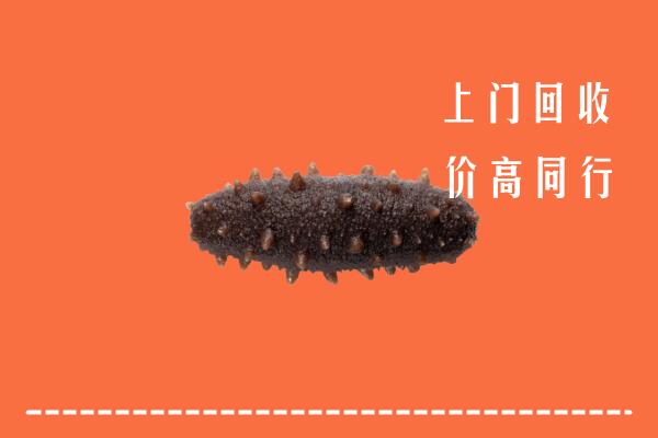 深圳市回收海参