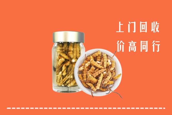 深圳市回收冬虫夏草