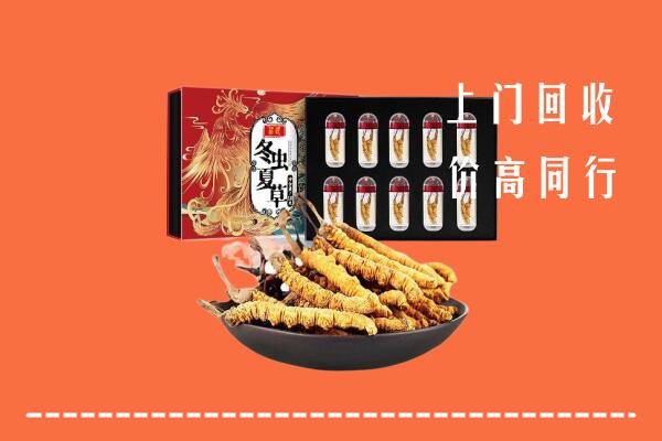 深圳市回收虫草